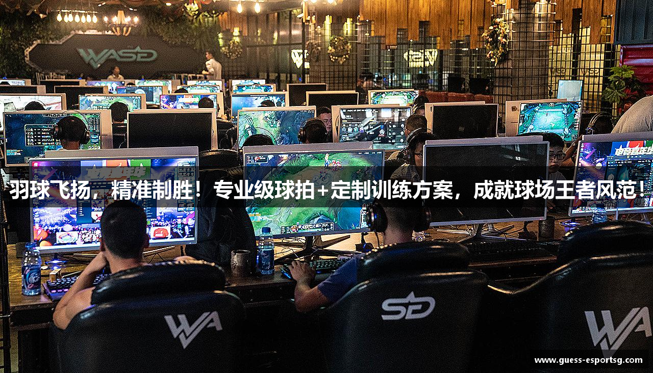 羽球飞扬，精准制胜！专业级球拍+定制训练方案，成就球场王者风范！